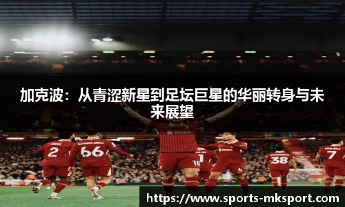 mk体育官网
